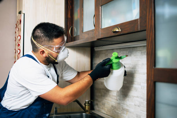 Best Insect Control  in Gonzales, TX