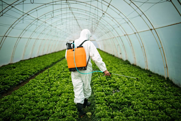 Best Mosquito Control Services  in Gonzales, TX