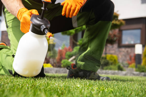 Best Exterminator Services  in Gonzales, TX
