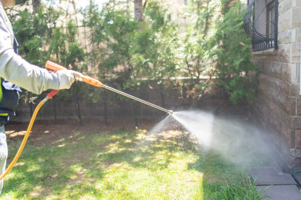 Trusted Gonzales, TX Pest Control Experts