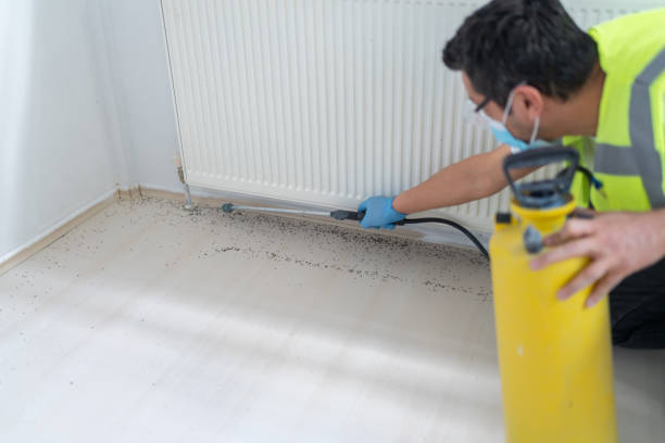 Best Bed Bug Extermination  in Gonzales, TX